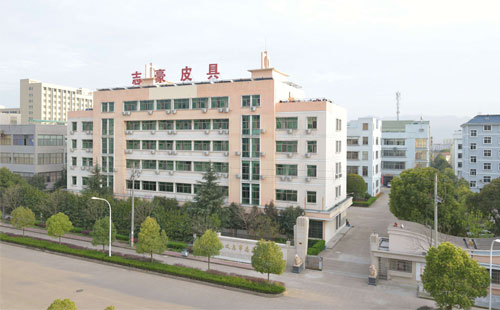 女包加工——上海贸易公司首选志豪皮具 女包加工——上海贸易公司首选志豪皮具